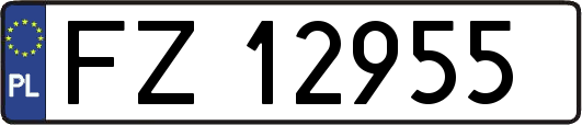 FZ12955