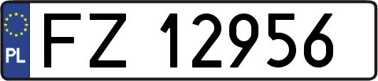 FZ12956