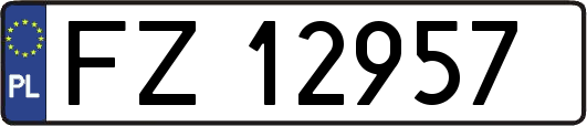 FZ12957
