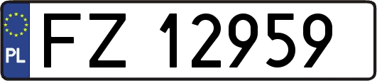 FZ12959