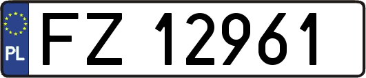 FZ12961