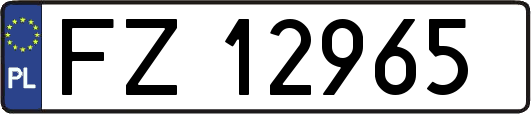 FZ12965