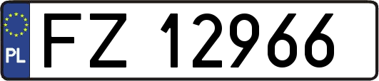 FZ12966