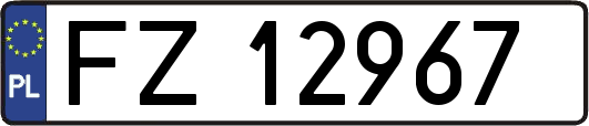 FZ12967