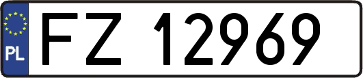 FZ12969