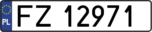FZ12971