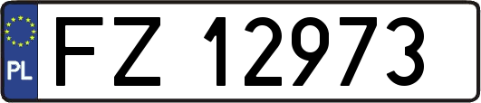 FZ12973