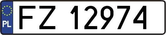 FZ12974