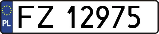 FZ12975