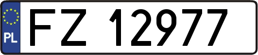 FZ12977