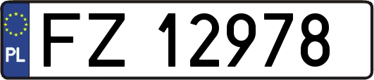 FZ12978
