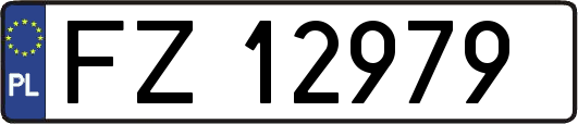 FZ12979