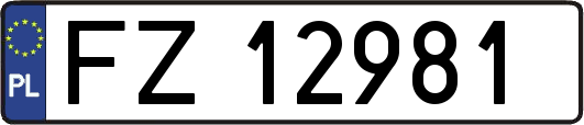 FZ12981