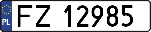 FZ12985