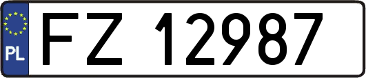 FZ12987