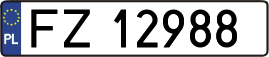 FZ12988