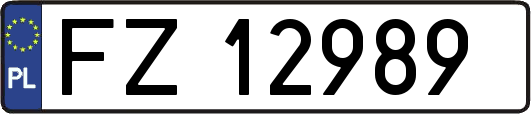 FZ12989