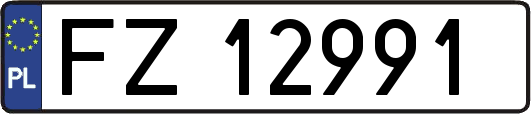 FZ12991