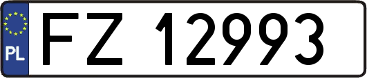 FZ12993