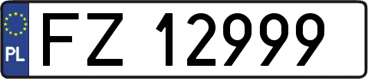 FZ12999