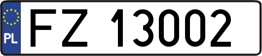 FZ13002