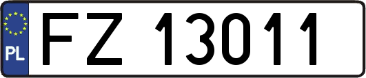 FZ13011