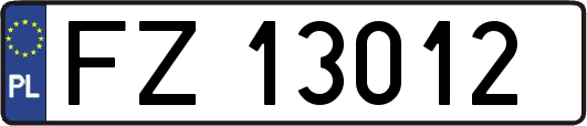 FZ13012