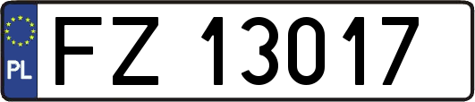 FZ13017