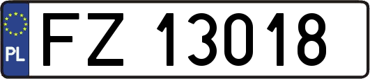 FZ13018