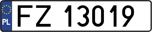 FZ13019