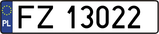 FZ13022