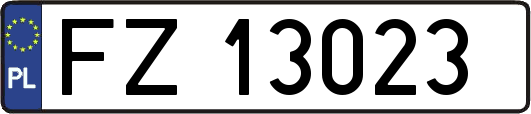 FZ13023