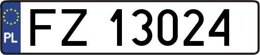 FZ13024