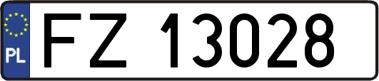 FZ13028