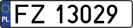 FZ13029