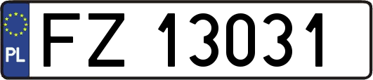 FZ13031