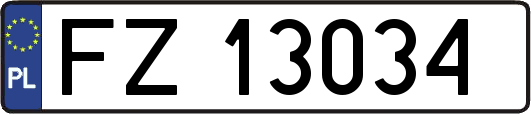 FZ13034