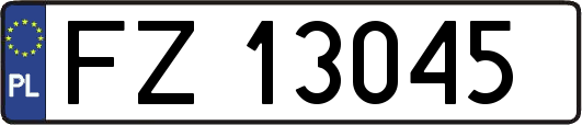 FZ13045