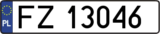 FZ13046