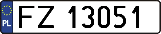 FZ13051
