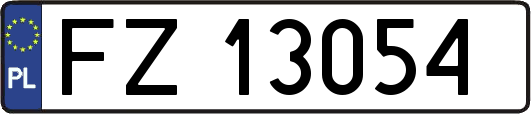 FZ13054