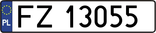 FZ13055