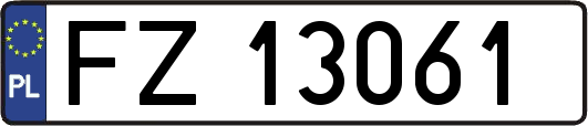 FZ13061