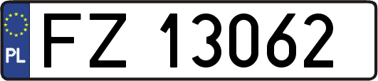 FZ13062