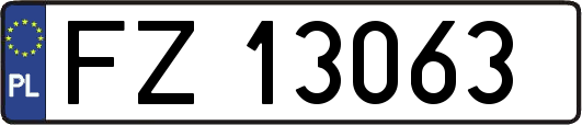 FZ13063