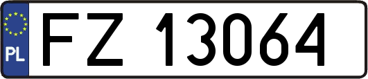 FZ13064
