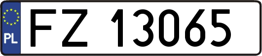 FZ13065