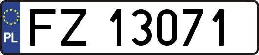 FZ13071