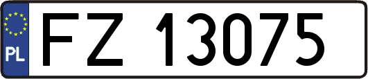 FZ13075