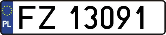 FZ13091